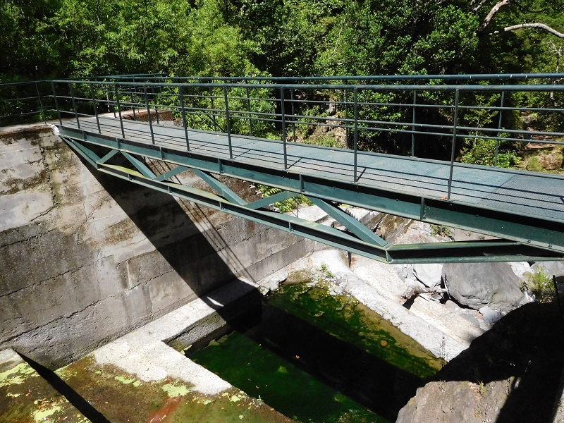 Levada dos Tornos Nord — Abschnitt 2 — Foto 6