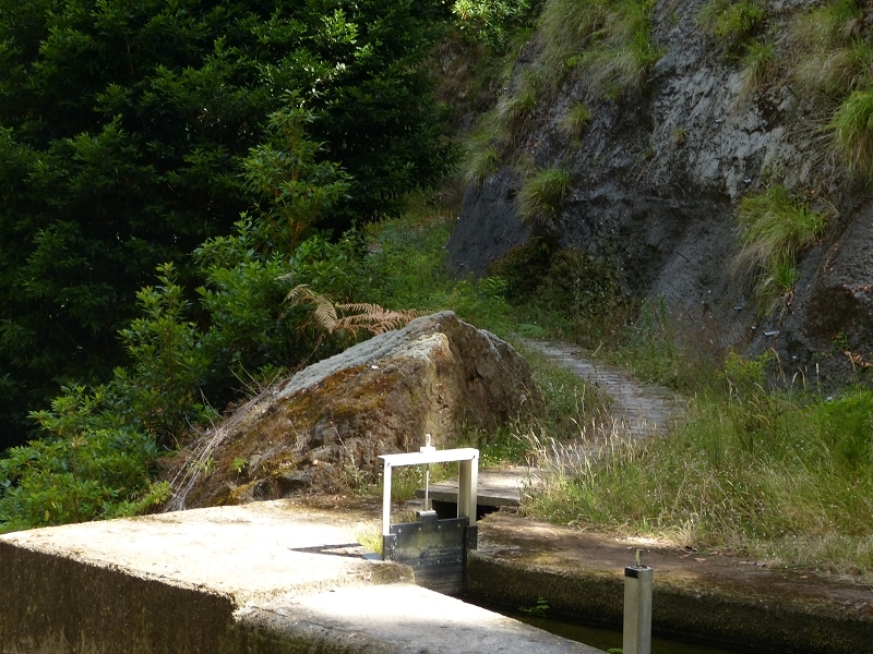Levada dos Tornos Nord — Abschnitt 2 — Foto 7