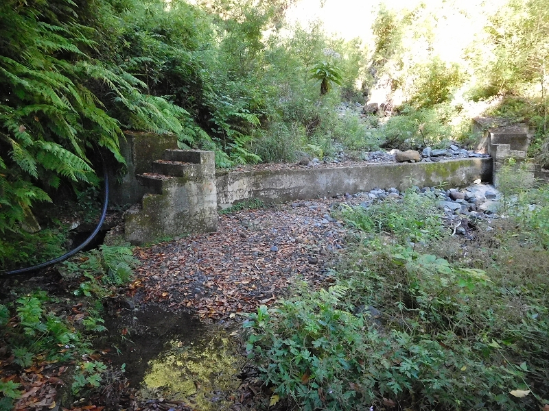 Levada dos Tornos Nord — Abschnitt 1 — Foto 7
