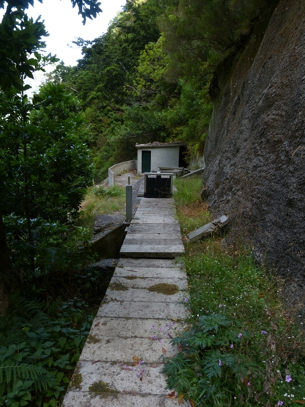 Levada dos Tornos Nord — Abschnitt 2 — Foto 9