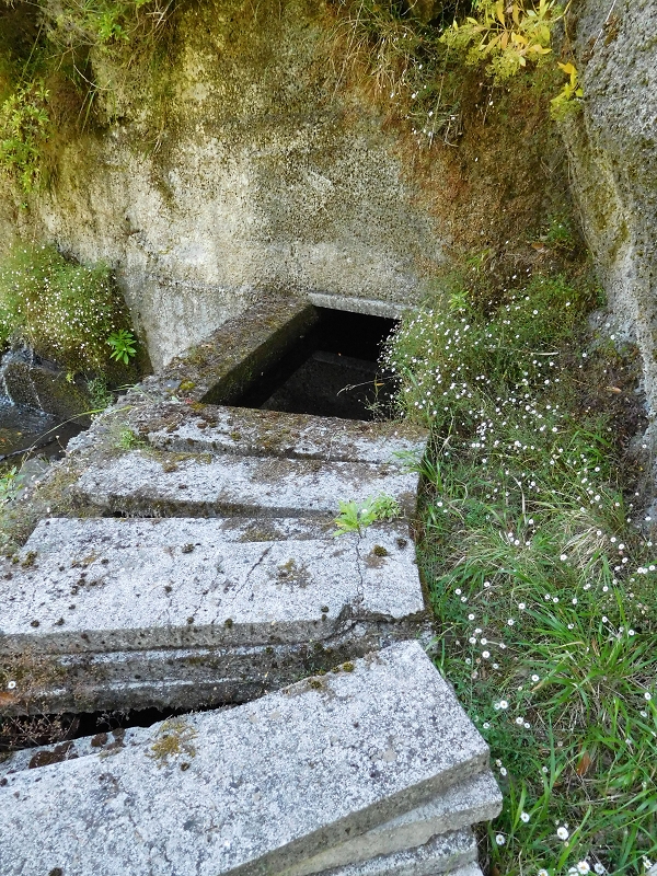 Levada dos Tornos Nord — Abschnitt 2 — Foto 11