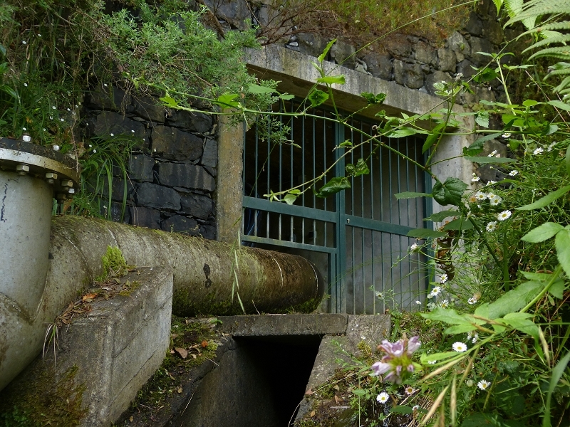 Levada dos Tornos Nord — Abschnitt 2 — Foto 12