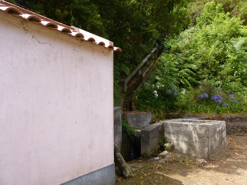 Levada dos Tornos Nord — Abschnitt 2 — Foto 14
