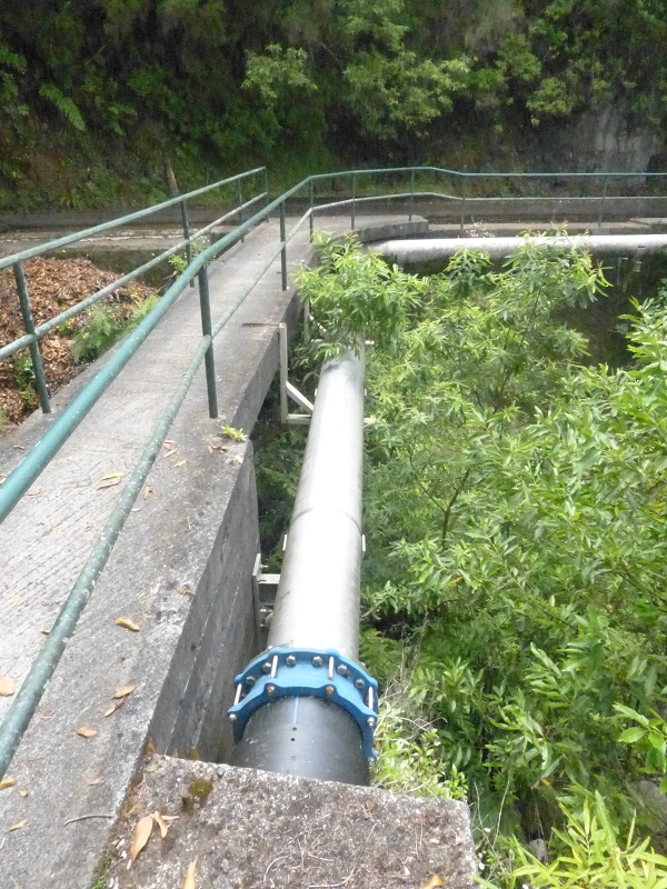 Levada dos Tornos Nord — Abschnitt 2 — Foto 15