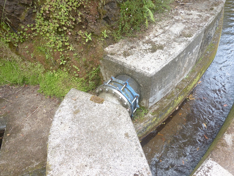 Levada dos Tornos Nord — Abschnitt 2 — Foto 16