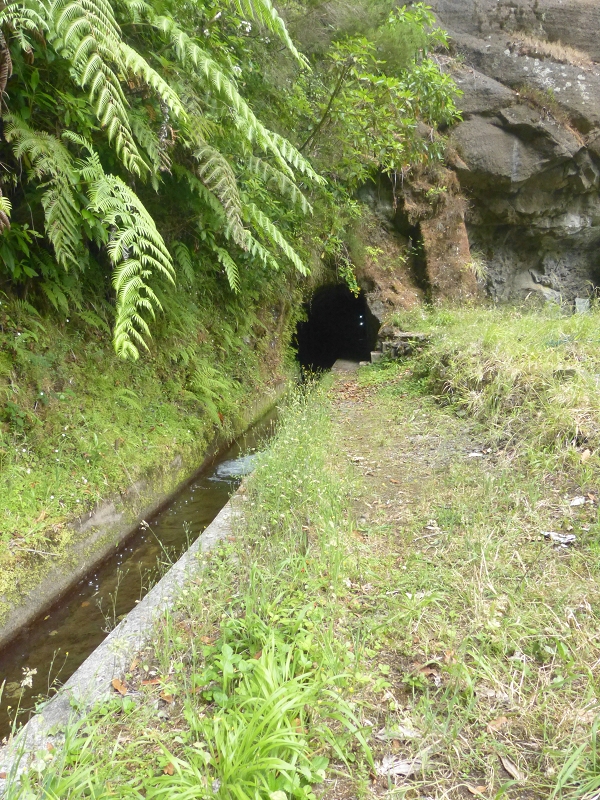 Levada dos Tornos Nord — Abschnitt 3: Chao das Faias — Foto 2