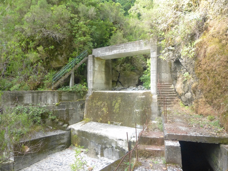 Levada dos Tornos Nord — Abschnitt 3: Chao das Faias — Foto 4