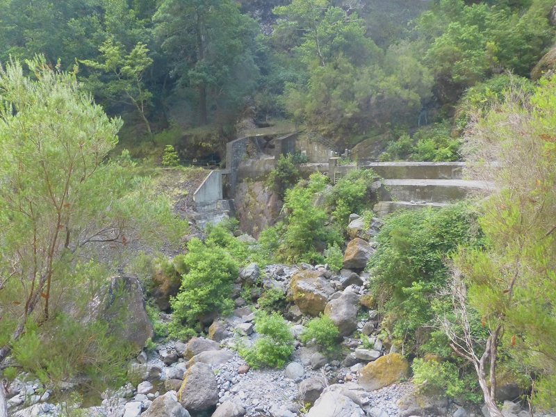 Levada dos Tornos Nord — Abschnitt 3: Chao das Faias — Foto 5