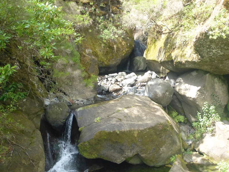 Levada dos Tornos Nord — Abschnitt 3: Chao das Faias — Foto 6