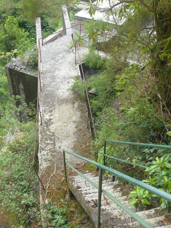 Levada dos Tornos Nord — Abschnitt 3: Chao das Faias — Foto 7