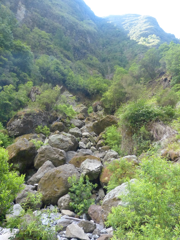 Levada dos Tornos Nord — Abschnitt 3: Chao das Faias — Foto 8
