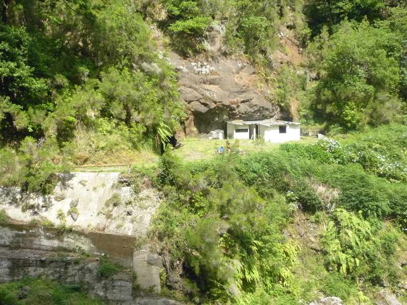 Levada dos Tornos Nord — Abschnitt 3: Chao das Faias — Foto 10