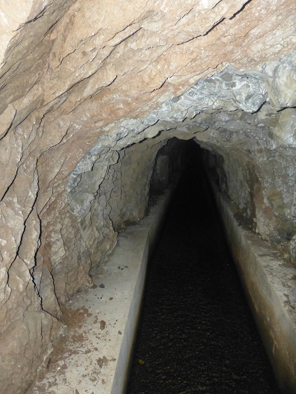 Levada dos Tornos Nord — Abschnitt 3: Chao das Faias — Foto 11