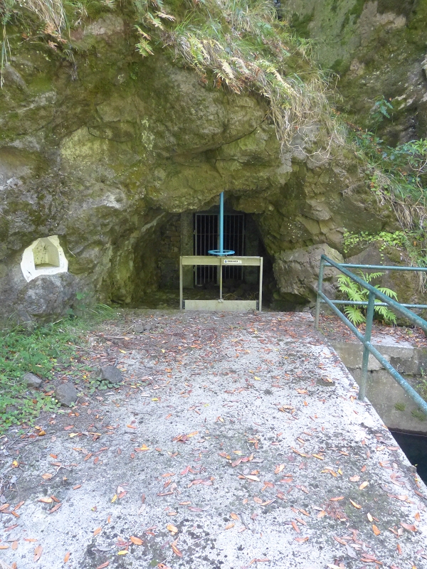 Levada dos Tornos Nord — Abschnitt 3: Chao das Faias — Foto 12