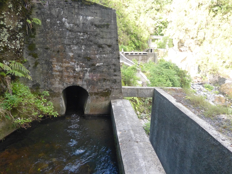 Levada dos Tornos Nord — Abschnitt 3: Chao das Faias — Foto 13