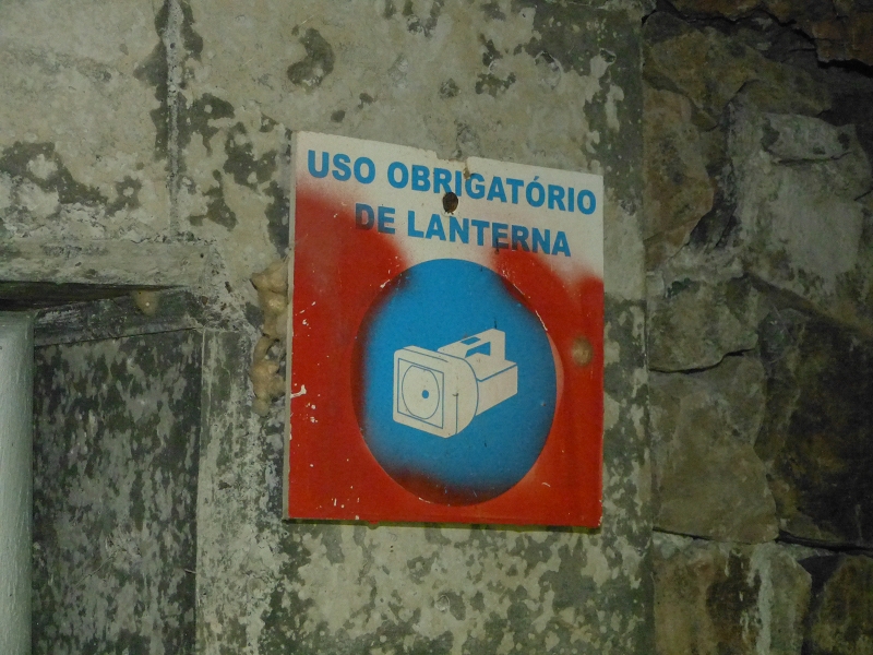 Levada dos Tornos Nord — Abschnitt 3: Chao das Faias — Foto 14