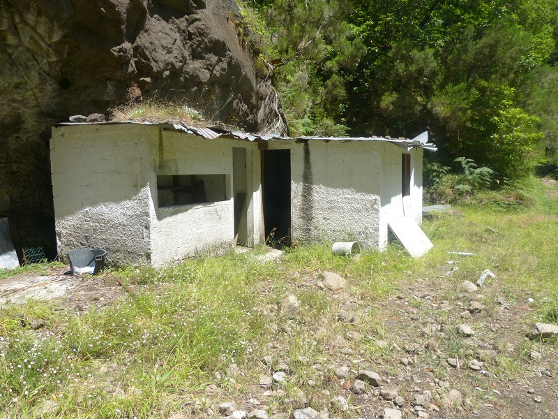 Levada dos Tornos Nord — Abschnitt 3: Chao das Faias — Foto 17