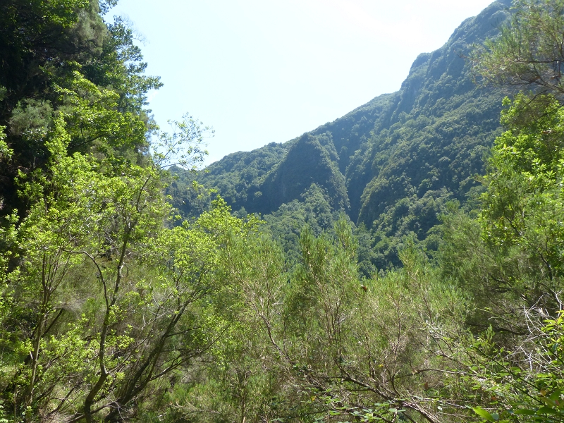 Levada dos Tornos Nord — Abschnitt 3: Chao das Faias — Foto 18