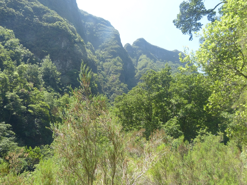 Levada dos Tornos Nord — Abschnitt 3: Chao das Faias — Foto 20
