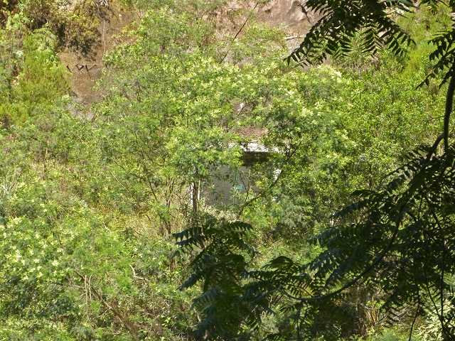 câmara de equilíbrio