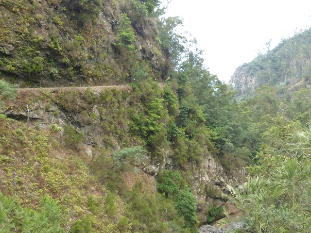 Levada dos Tornos sul — Troço 2 — foto 3