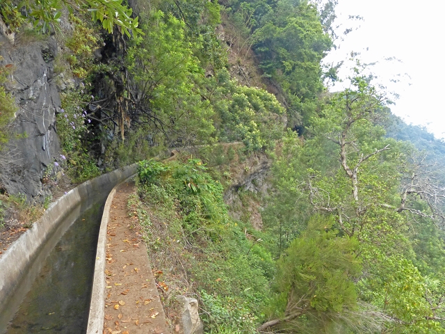 Levada dos Tornos sul — Troço 2 — foto 4