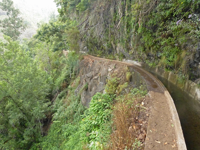Levada dos Tornos sul — Troço 2 — foto 5