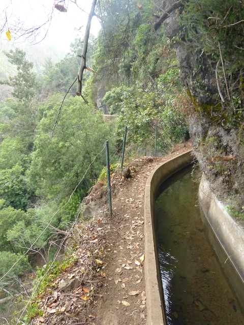 Levada dos Tornos sul — Troço 2 — foto 6