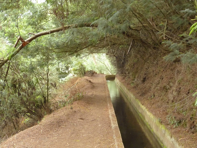 Levada dos Tornos sul — Troço 2 — foto 7