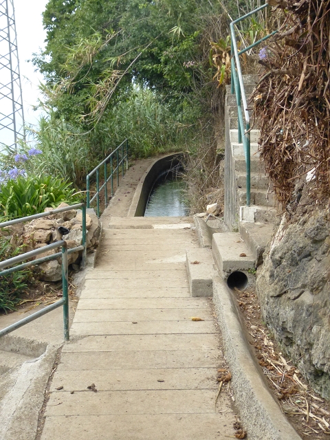 Levada dos Tornos sul — Troço 2 — foto 8