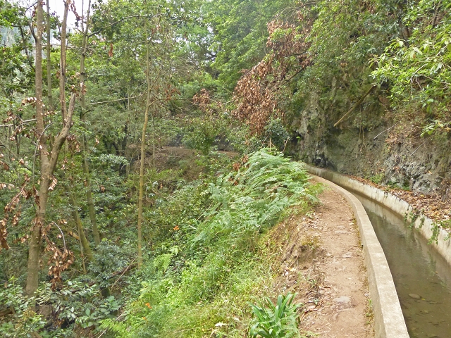 Levada dos Tornos sul — Troço 3 — foto 1
