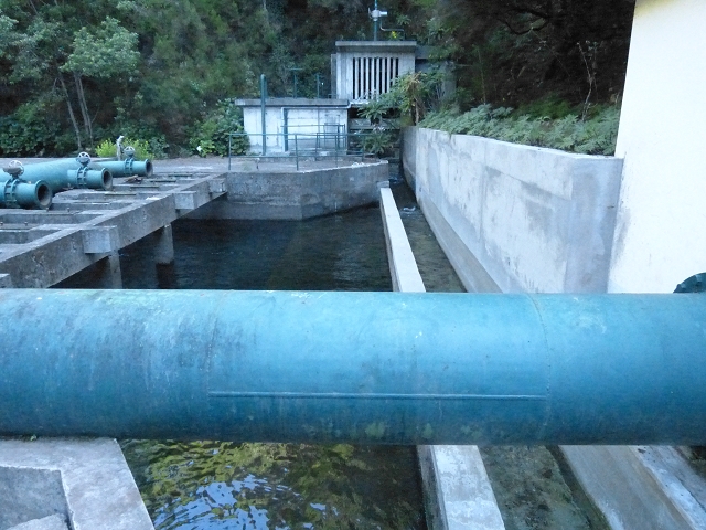 Levada dos Tornos sul — Troço 1 — foto 2