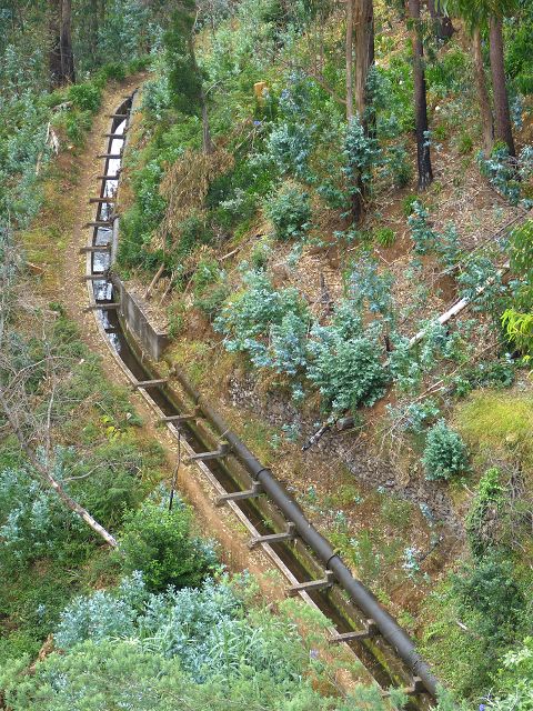 Levada dos Tornos sul — Troço 4 — foto 3