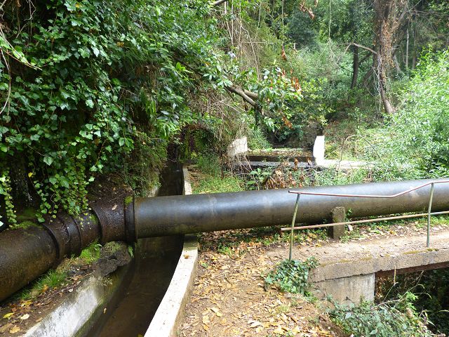 Levada dos Tornos sul — Troço 4 — foto 9
