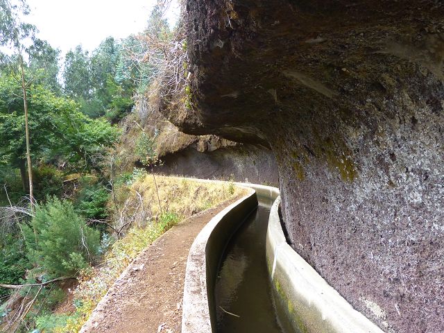 Levada dos Tornos sul — Troço 4 — foto 19