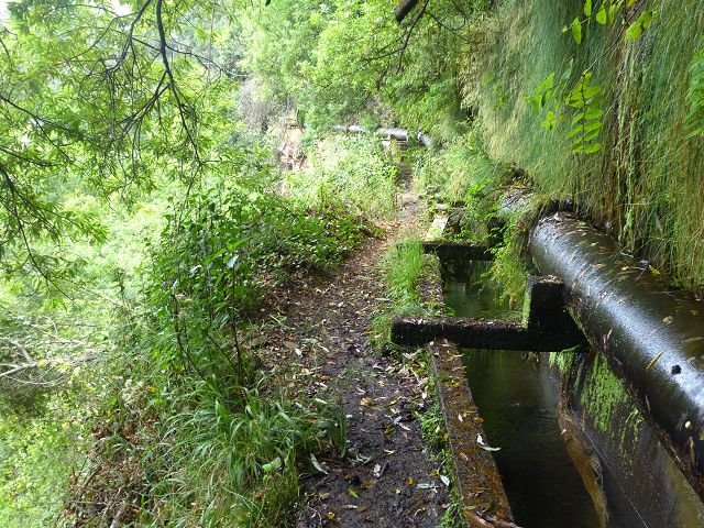 Levada dos Tornos sul — Troço 4 — foto 13