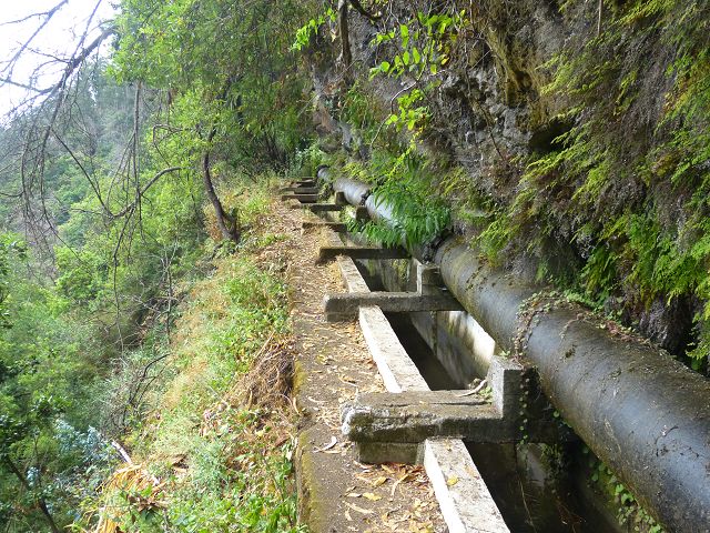 Levada dos Tornos sul — Troço 4 — foto 5