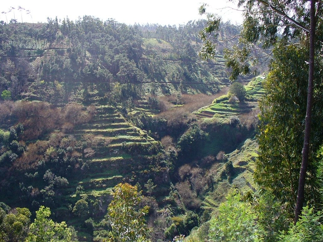 Levada dos Tornos sul — Troço 4 — foto 20