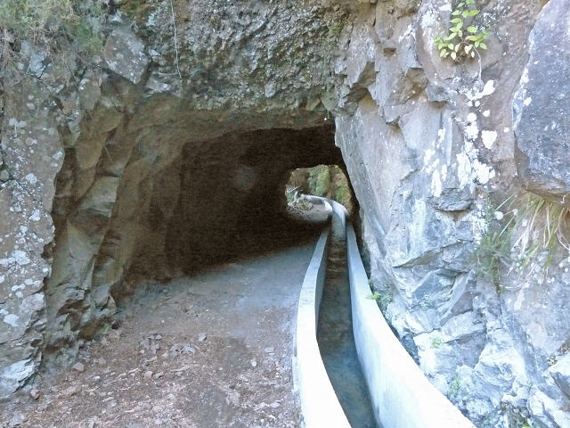 Levada dos Tornos sul — Troço 1 — foto 5