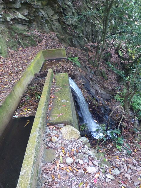 Levada dos Tornos sul — Troço 6 — foto 3