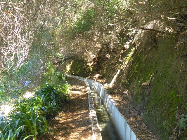 Levada dos Tornos sul — Troço 1 — foto 7