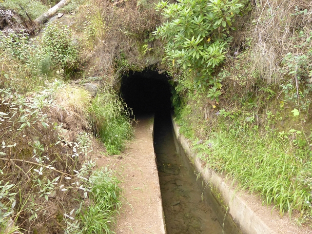 Levada dos Tornos sul — Troço 2 — foto 1