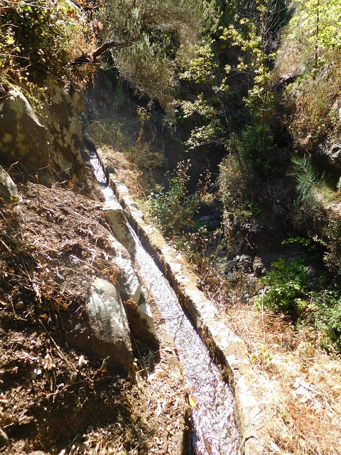 Levada dos Tornos sul — Troço 5 — foto 13