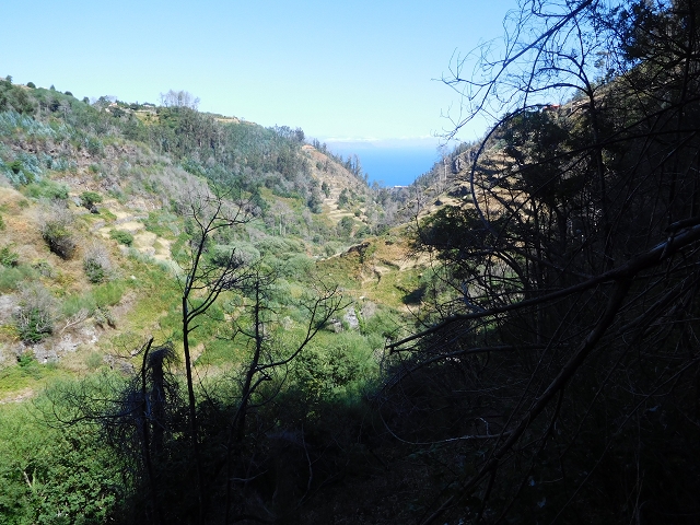 Levada dos Tornos sul — Troço 5 — foto 16