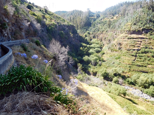 Levada dos Tornos sul — Troço 5 — foto 22