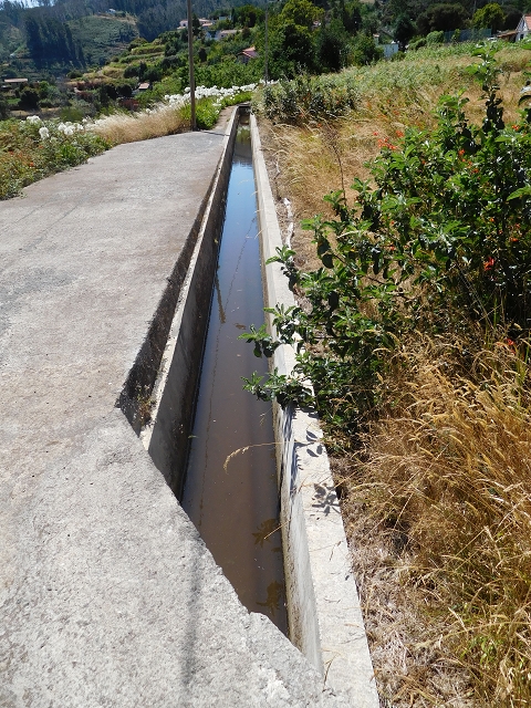 Levada dos Tornos sul — Troço 5 — foto 5