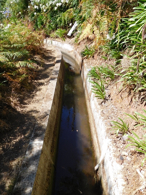 Levada dos Tornos sul — Troço 5 — foto 7