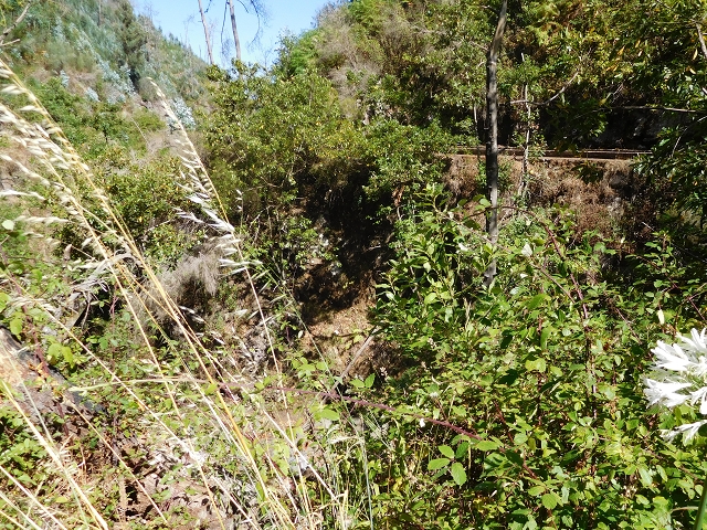 Levada dos Tornos sul — Troço 5 — foto 10