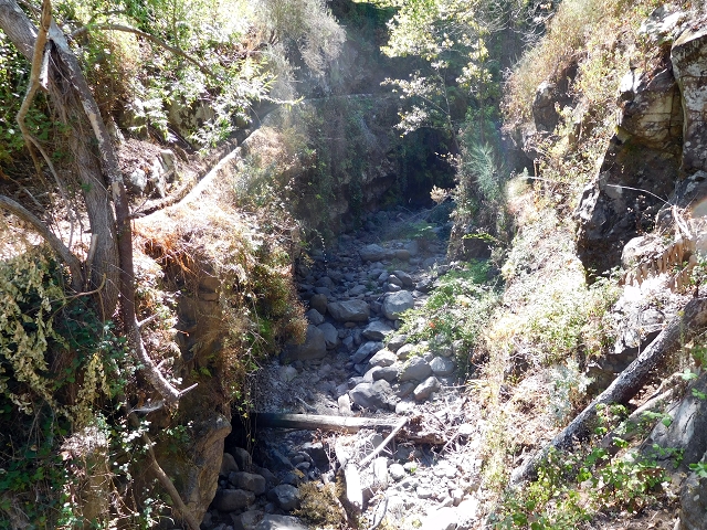 Levada dos Tornos sul — Troço 5 — foto 12