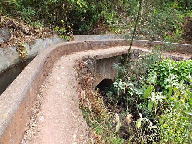 Levada dos Tornos sul — Troço 3 — foto 4